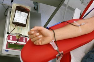 “Buon sangue si sente” Giovedì la prima donazione collettiva degli studenti dell’Angeloni