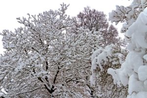 Maltempo aggiornamento: Neve sui rilievi oltre i 400 metri.  Anche a Montecastrilli scuole chiuse