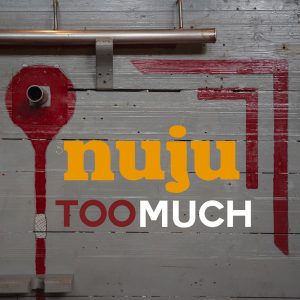 Nuju il nuovo singolo si chiamaToo much