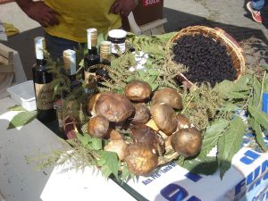 È sagra del porcino a Oriolo Romano. Dal 13 al 28 settembre.