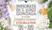 L’Infiorata di Città della Pieve: colori, profumi e sapori dal 12 al 22 giugno
