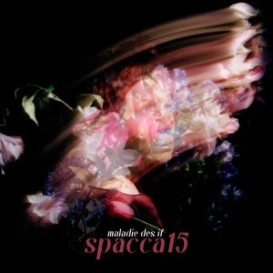 maladie des ifspacca15 (harakiri)

(Lab Music Factory)
In radio